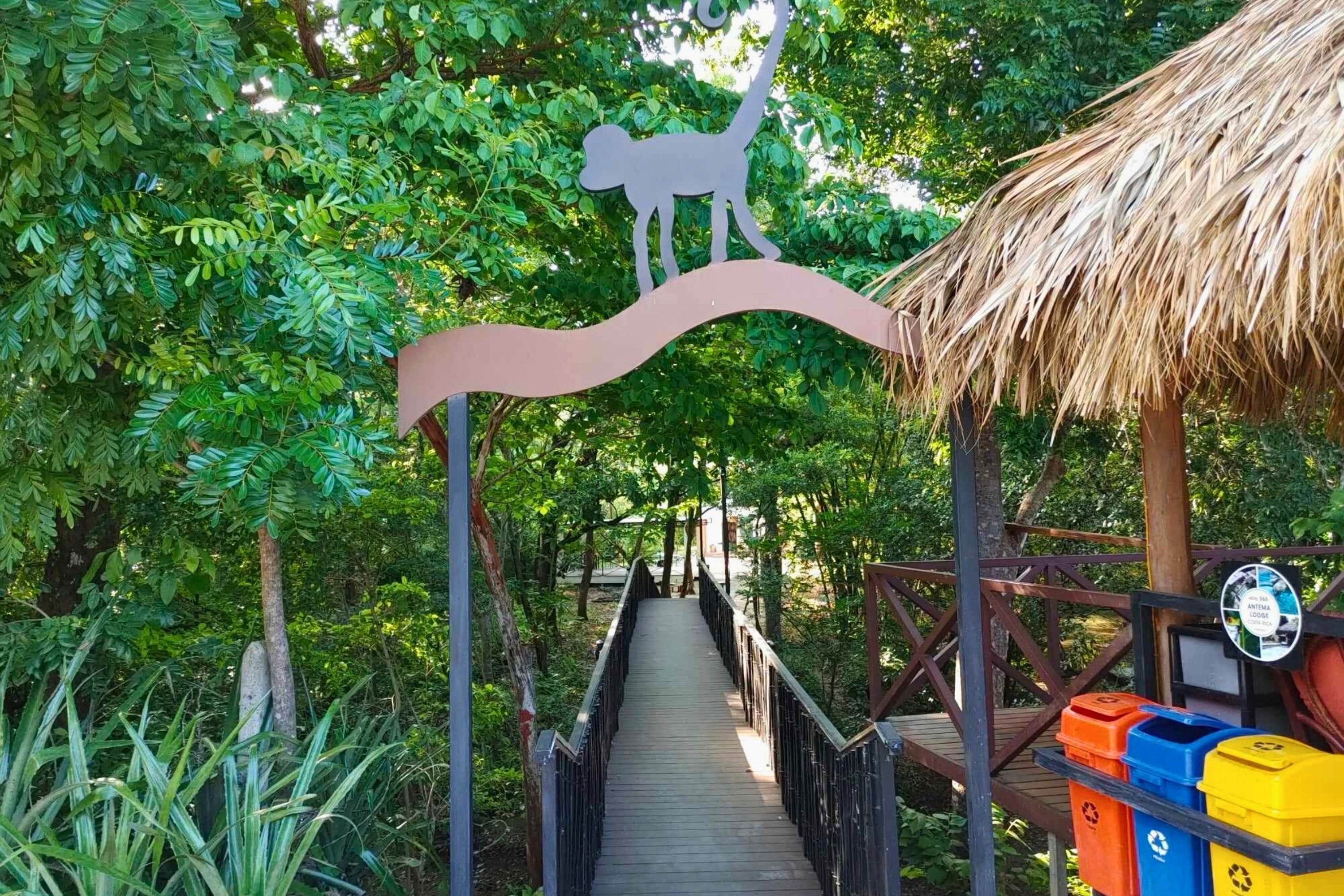A wooden bridge with a thatched roof, surrounded by lush greenery.