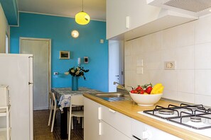 Fridge, oven, stovetop, electric kettle