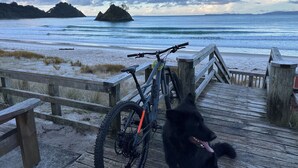 Un paseo marítimo de madera que conduce a una playa, con una bicicleta estacionada allí.