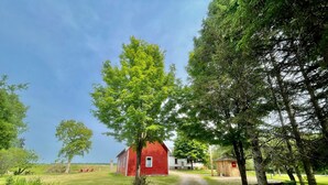 A rural road leading to a red barn and a white house, surrounded by trees and open fields. -  Lakeside Hideaway: Full-Home Retreat on the Remote Boney Falls Basin (Cornell)