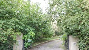 A pathway leading through a lush, green area with dense foliage on both sides. - Craiglea Cottage (Coleraine)