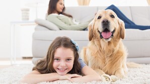 Une enfant allongée sur un tapis blanc, avec un golden retriever à ses côtés.