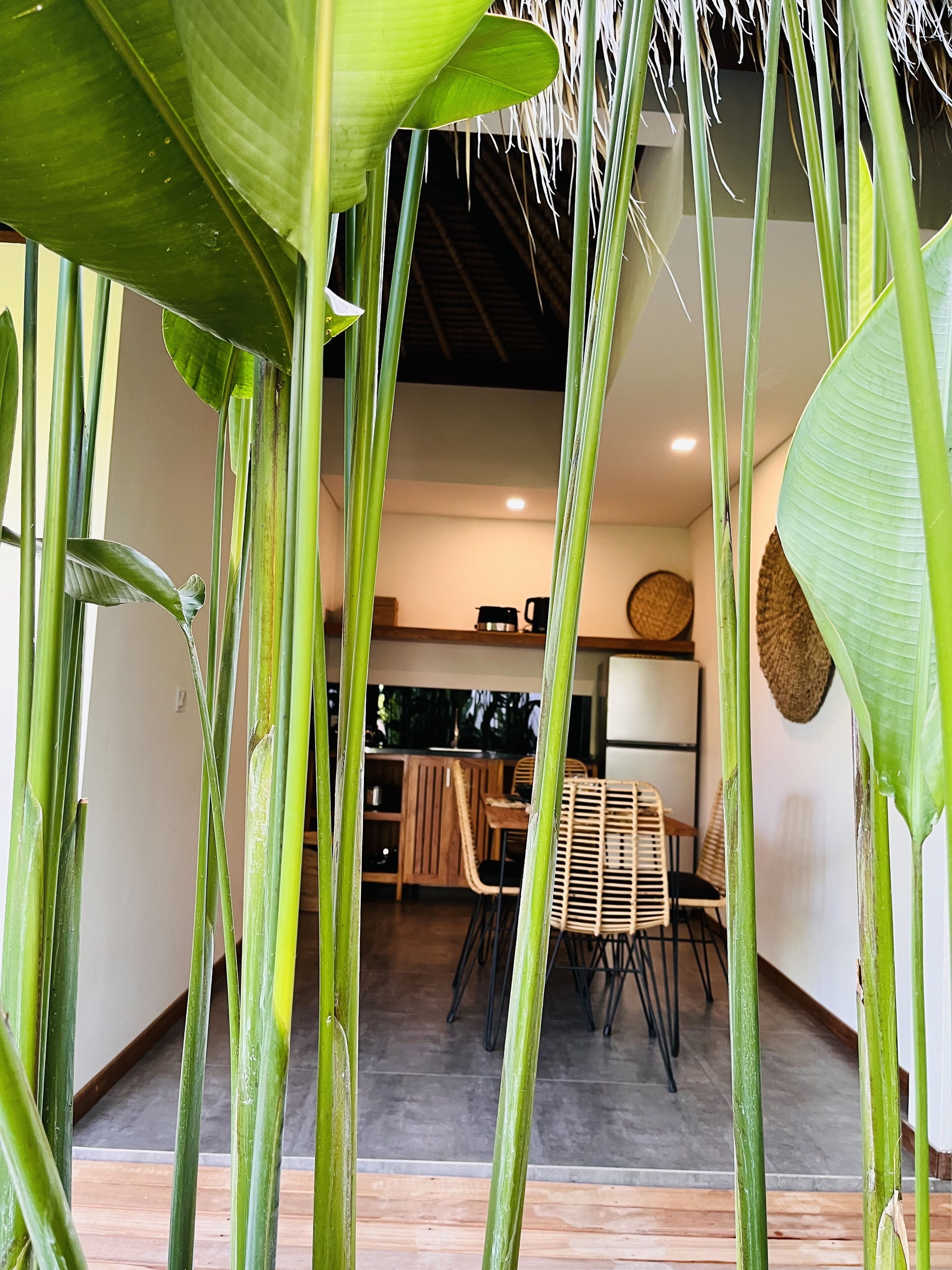Un intérieur moderne avec un coin repas, un plancher en bois et des plantes vertes.