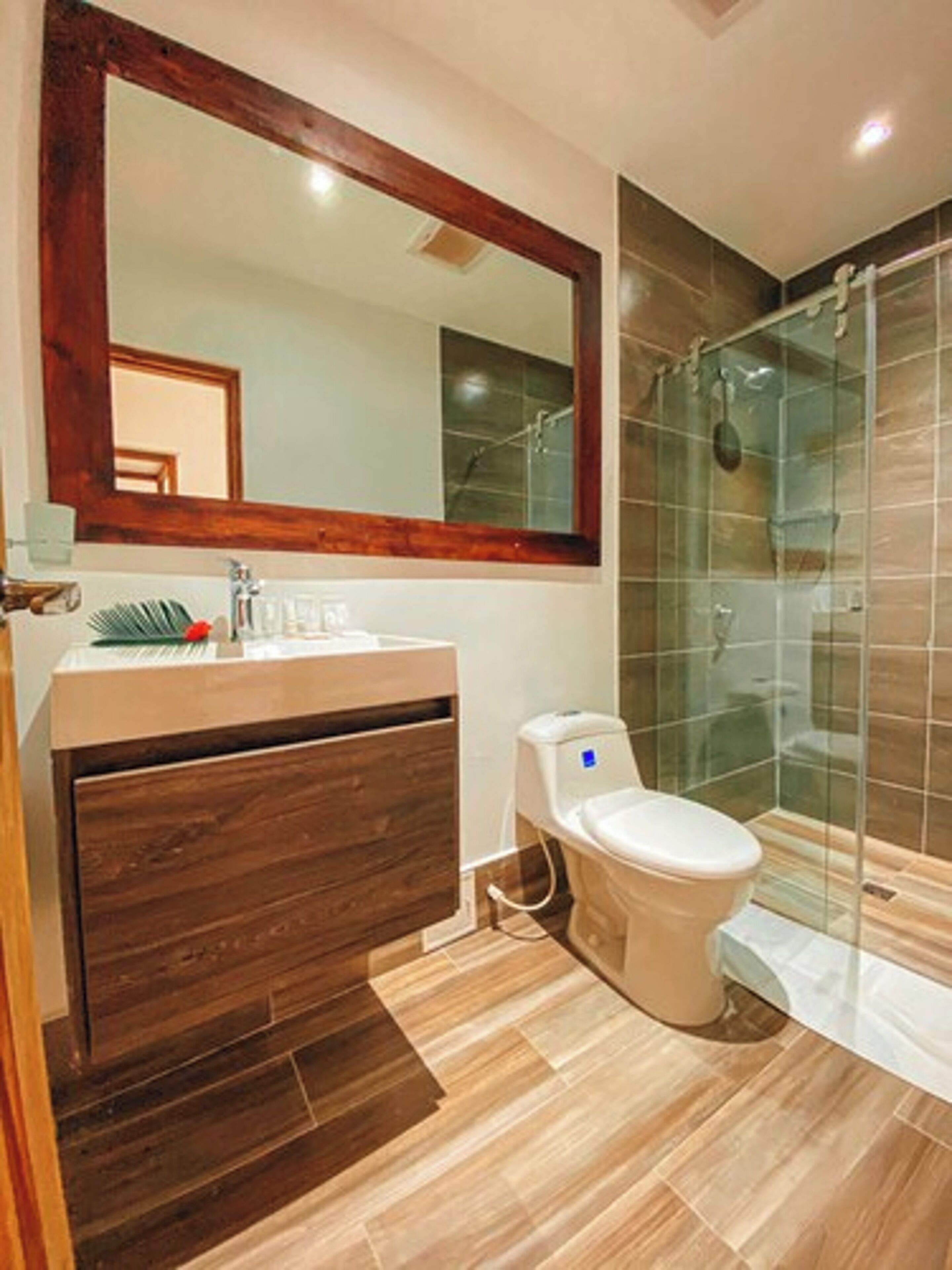 shower, soap, toilet paper