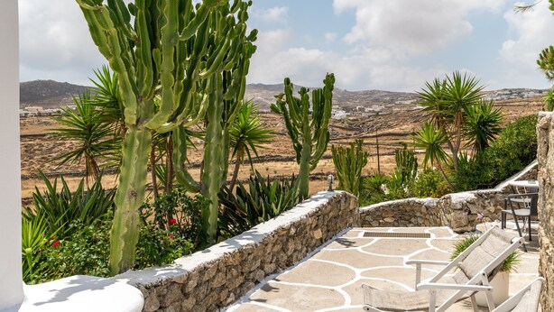 Une terrasse en pierre avec des chaises longues, des cactus et une vue sur un paysage vallonné.