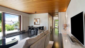 Televisión y chimenea