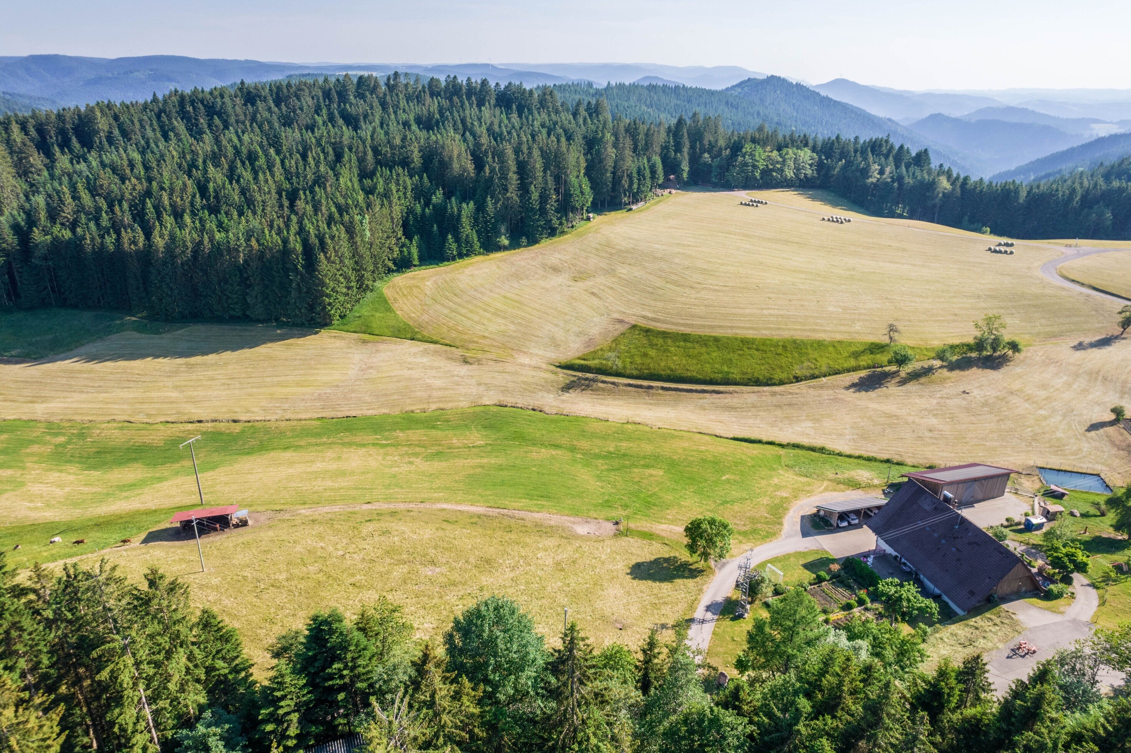 Oversigtsbillede af et landligt landskab med marker, en bondegård og et skovområde.