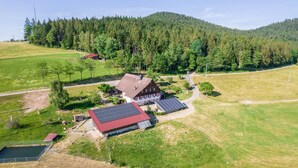 A rural property with a large house, solar panels, and a surrounding forested area.