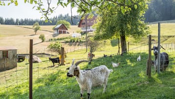 Áreas de la propiedad