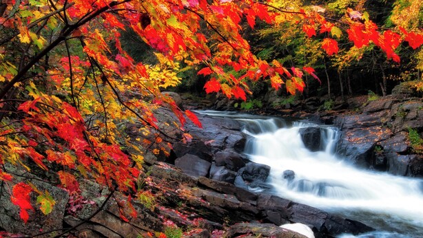 Una cascada rodeada de follaje otoñal.