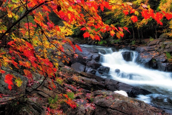 Ein Wasserfall, umgeben von Herbstlaub.