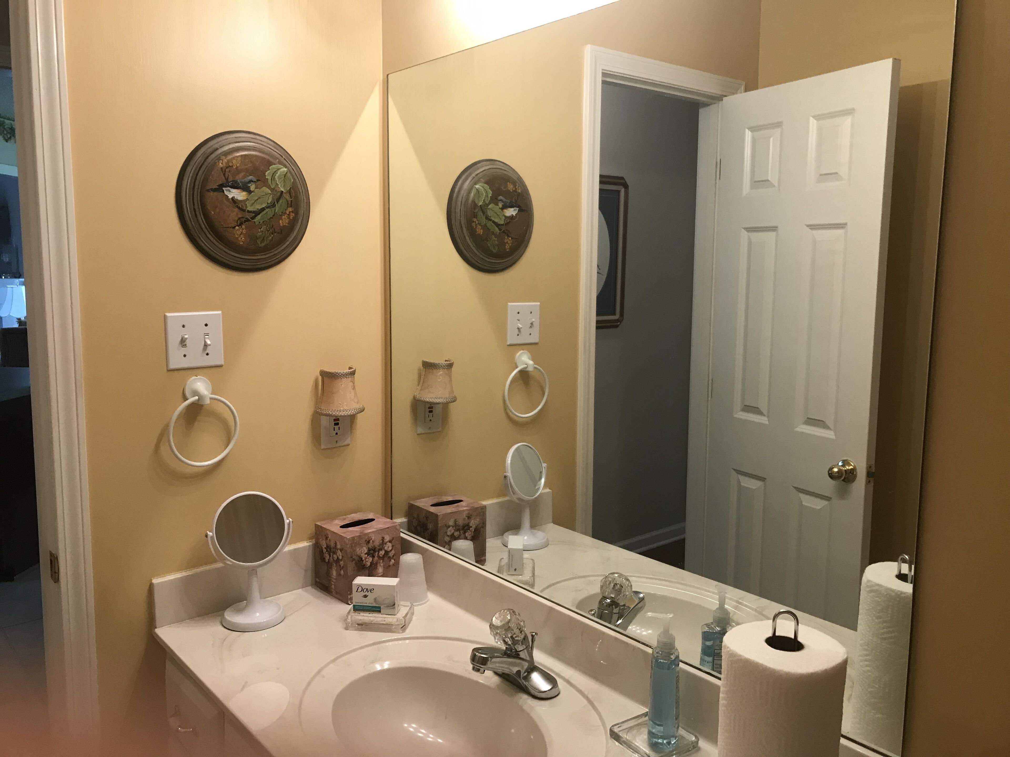 Une salle de bain avec un grand miroir, un lavabo et des toilettes. On y trouve des assiettes décoratives accrochées au mur, un porte-serviettes et une boîte à mouchoirs.
