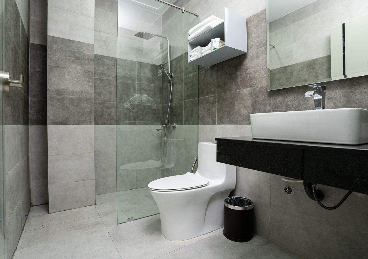 A modern bathroom with a glass-enclosed shower, a white toilet, a black sink, and a mirror above the sink.