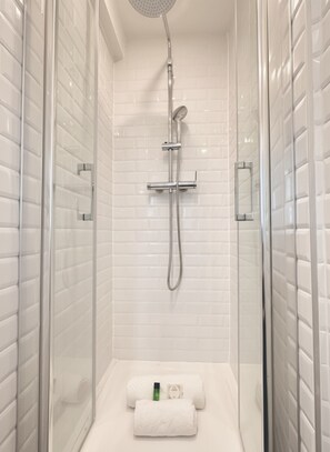 Shower, hair dryer, towels