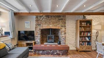 Télévision, cheminée, lecteur de DVD, livres