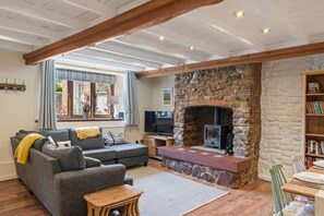 TV, fireplace, DVD player, books