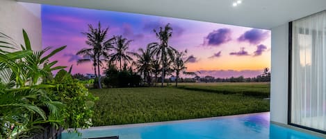 A modern pool area with a view of a field and palm trees.