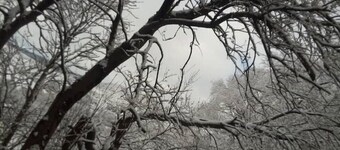 Cosy Hill Top Hut,  Sleeps 2, with Fantastic mountain Views. Near Bala, Gwynedd
