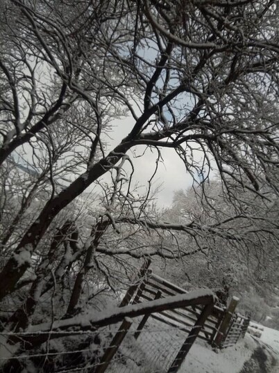 Cosy Hill Top Hut,  Sleeps 2, with Fantastic mountain Views. Near Bala, Gwynedd

