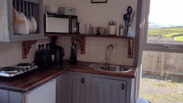 Fridge, microwave, stovetop, electric kettle