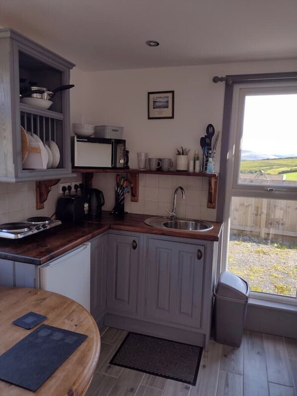 Fridge, microwave, stovetop, electric kettle