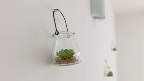 2 habitaciones 