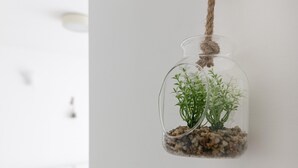 En gennemsigtig glasvase med planter og småsten, hængende i en snor på en hvid væg.