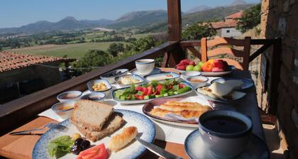 Theia Boutique Hotel