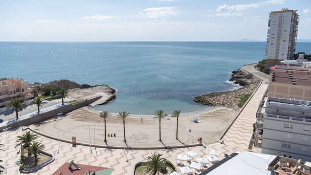 A beach with a curved walkway, palm trees, and a view of the sea.
