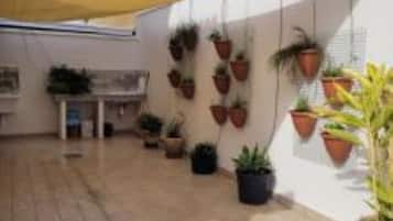 Terras