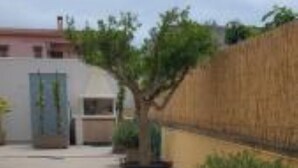 Ein Innenhof mit befestigtem Boden, einem Baum und einer Mauer.
