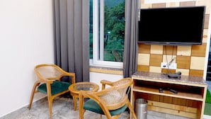 Habitación clásica doble, 1 cama de matrimonio grande, vistas al río | Televisión