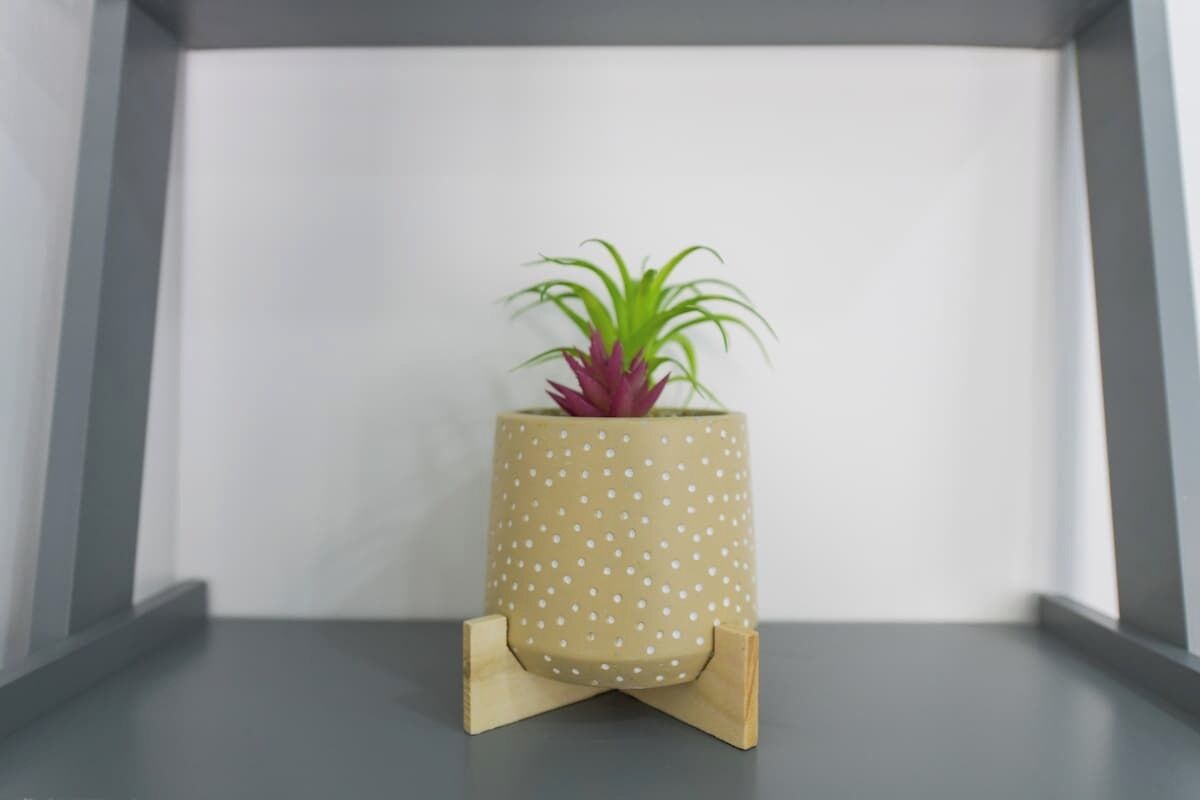 A potted plant on a stand in a room with a white wall and grey floor.