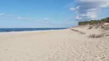 靠近海滩、白沙