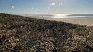 A beach with a grassy foreground, a pier in the distance, and a clear sky.
