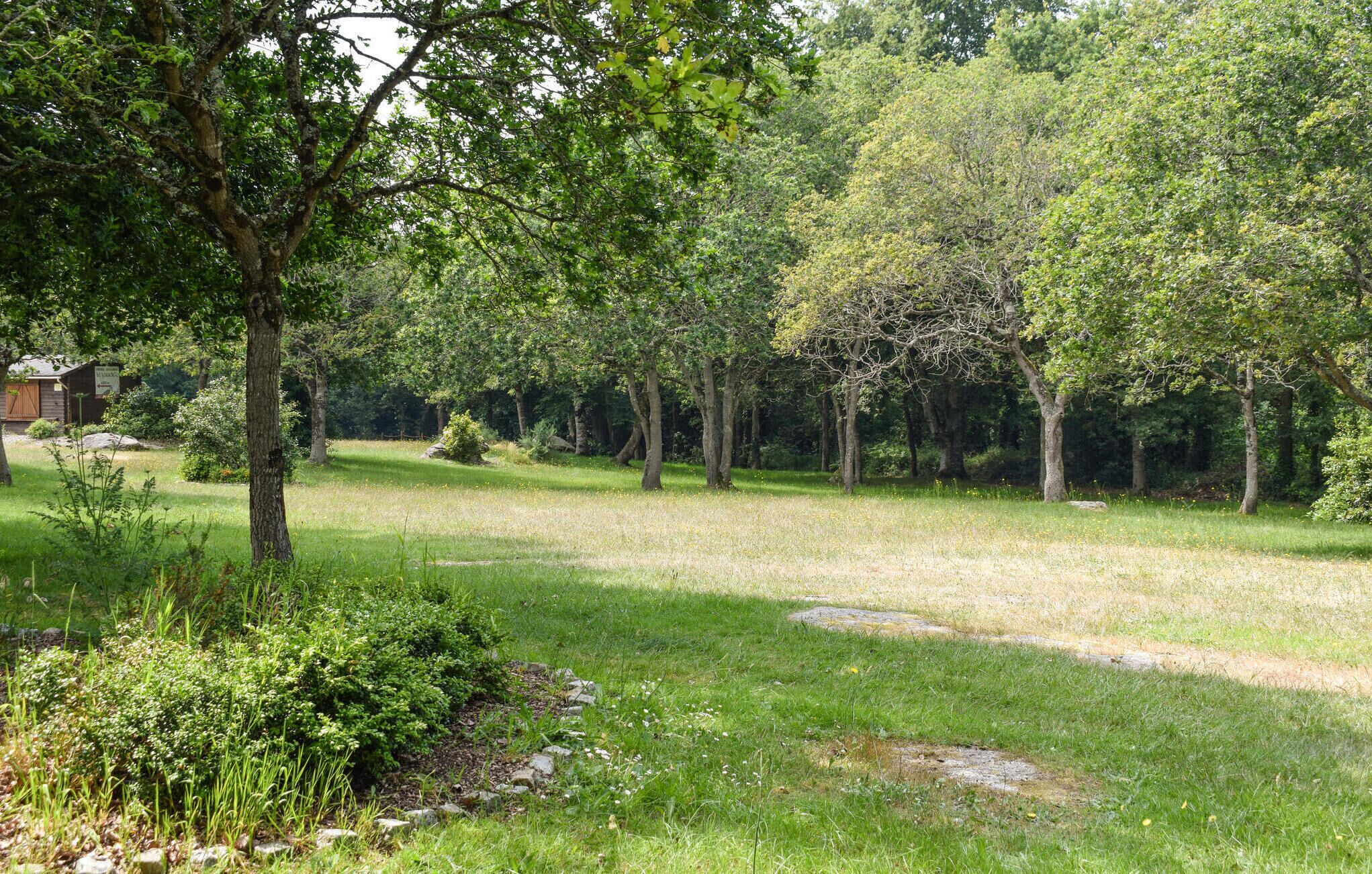 Une zone herbeuse avec des arbres et un petit bâtiment en arrière-plan.
