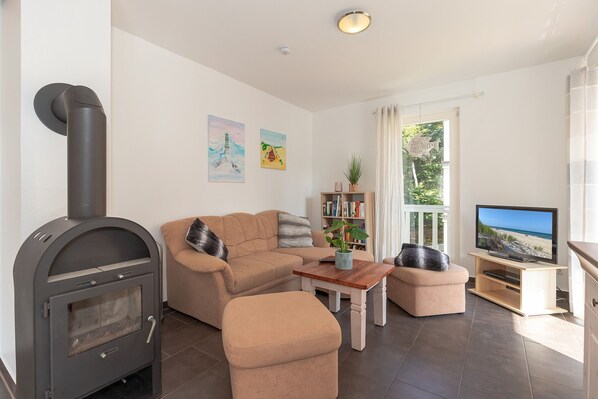 TV, fireplace, DVD player, books