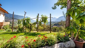 A garden with a wooden fence, a potted plant, and a view of mountains. - Apartment 'Huetterhof Langes' with Mountain View, Private Terrace and Wi-Fi (Caines)