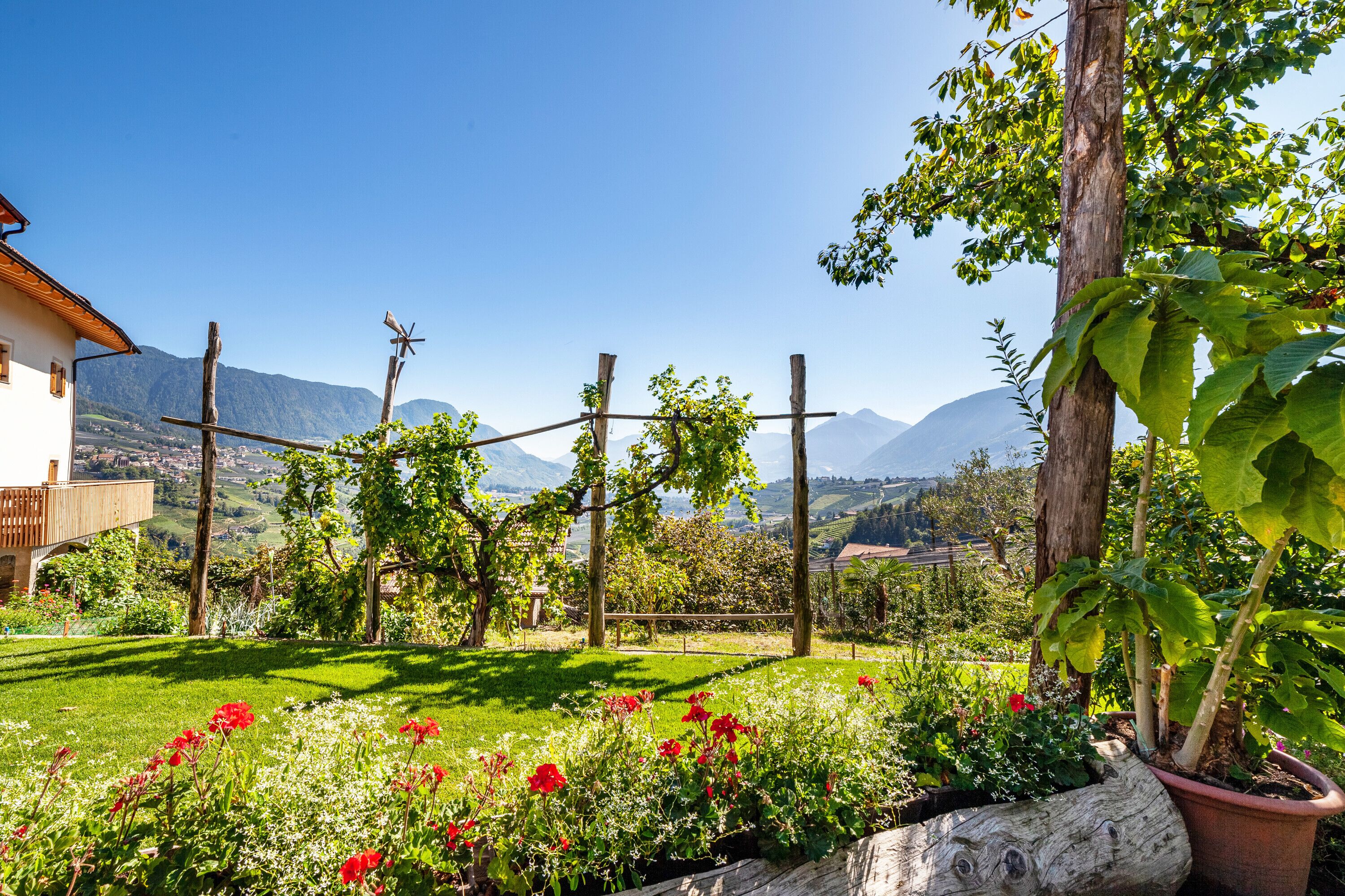 Parco della struttura