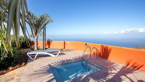 Una piscina con vista al océano, rodeada de palmeras y un patio de piedra.