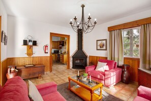 TV, fireplace, streaming services