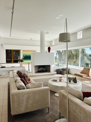 TV, fireplace, video games, DVD player