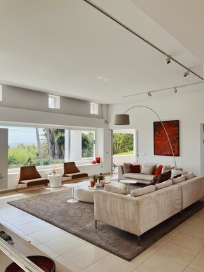 TV, fireplace, video games, DVD player
