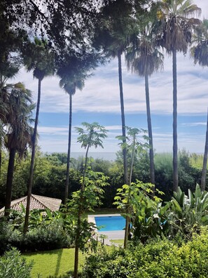 A pool surrounded by lush greenery and tall palm trees, with a view of the ocean.