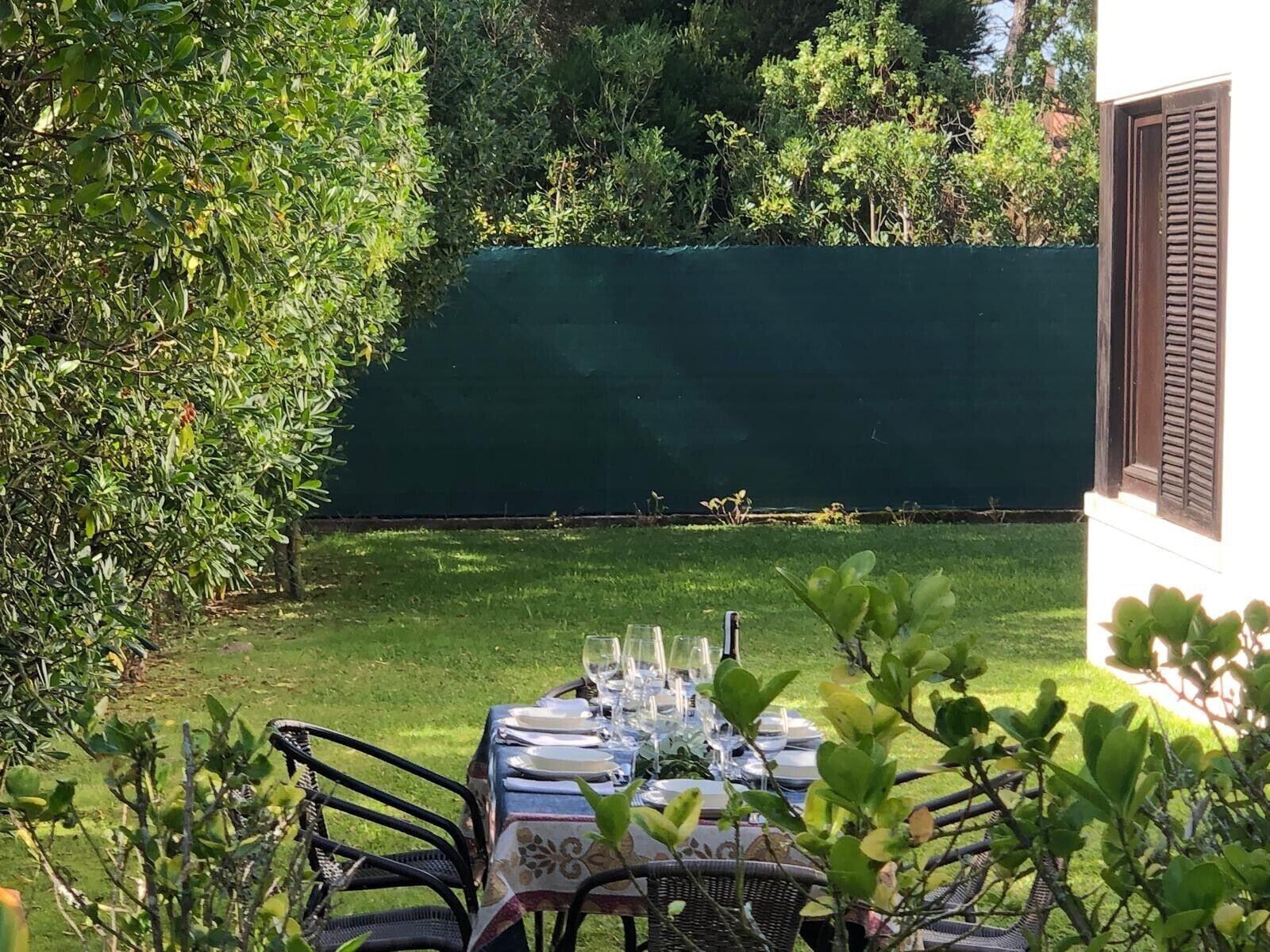 Un área de comedor al aire libre con una mesa dispuesta para cuatro personas, rodeada de follaje y una pared verde.