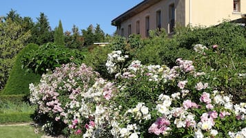 Jardines del alojamiento