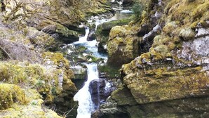 A natural landscape with a waterfall flowing through a rocky gorge surrounded by trees. - Gîte Indépendant Dans Maison Propriétaires (Saint-Laurent-en-Grandvaux)