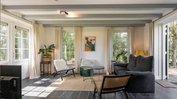 Fernseher, Arbeitsbereiche