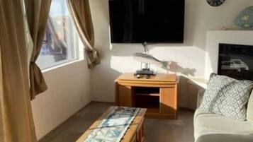 Smart TV, fireplace, books