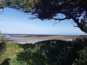 A coastal landscape with a view of the sea, rocky terrain, and dense vegetation.